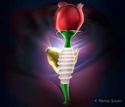 special render of the rose-angel