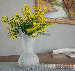 Flowers: the mimosas