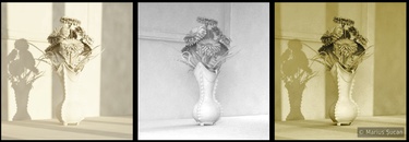 Flowers bouquet rendered