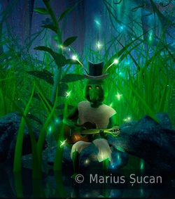 grass-hopper fairyness