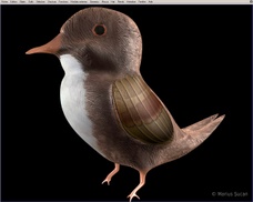 The final bird WIP image [5 August 2006, 18:53]