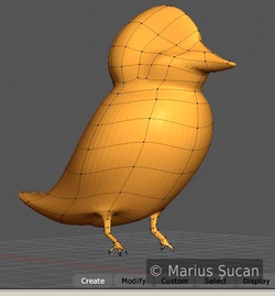 bird wip 1