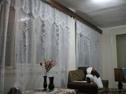 Reference image: the windows 2