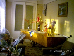 Reference image: sunlight