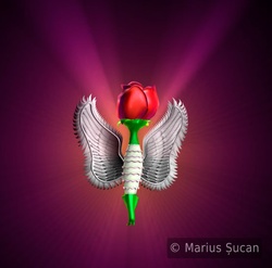 rose-angel before final