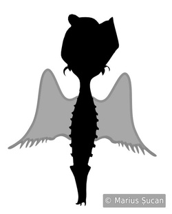 rose-angel wings wip sketch 3