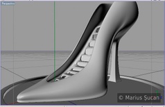 The shoe [7 September 2005, 15:04]