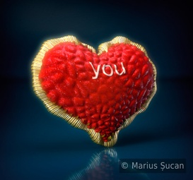 The heart: final render