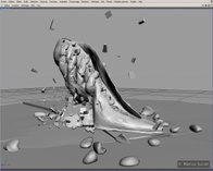 The shoe and the hand [5 December 2006, 21:16]