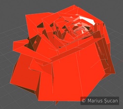 the rose first version 1 unsubdivided