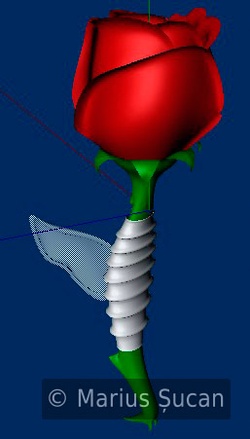 the rose first version 3