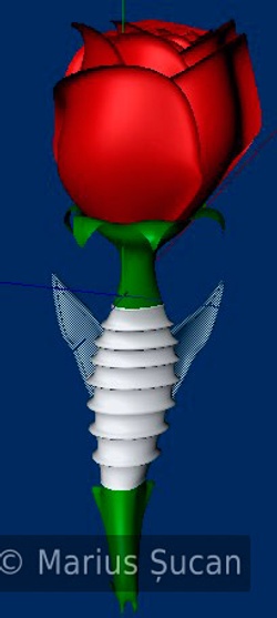 the rose first version 4