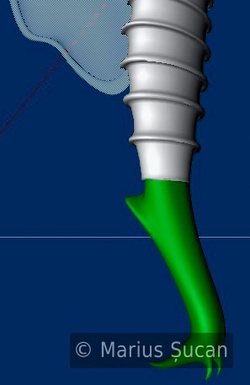 the rose first version 8