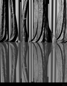 visualizee prefinal step 1 wip 1