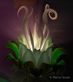 visualizee before final step5 wip 5 waterlily