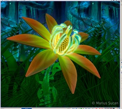 visualizee close-up render 24