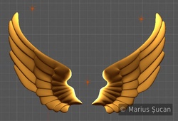 wings wip 1