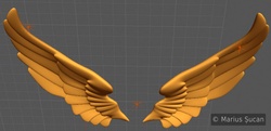 wings wip 1c